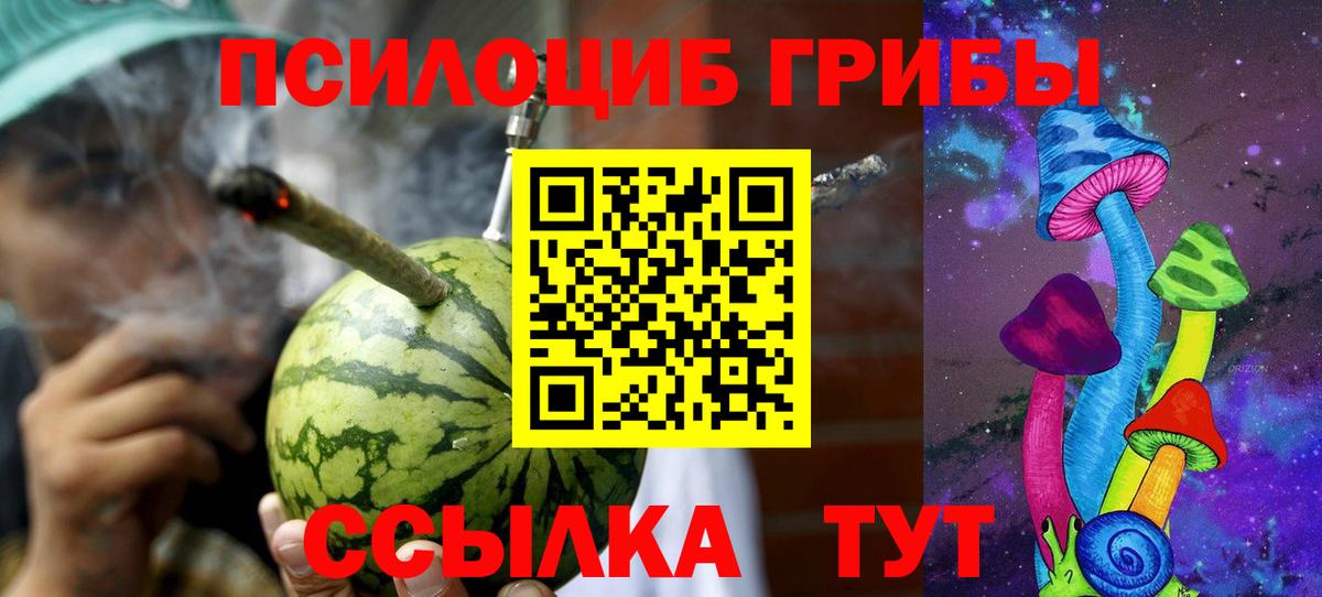 Псилоцибиновые грибы GOLDEN TEACHER Нефтекамск