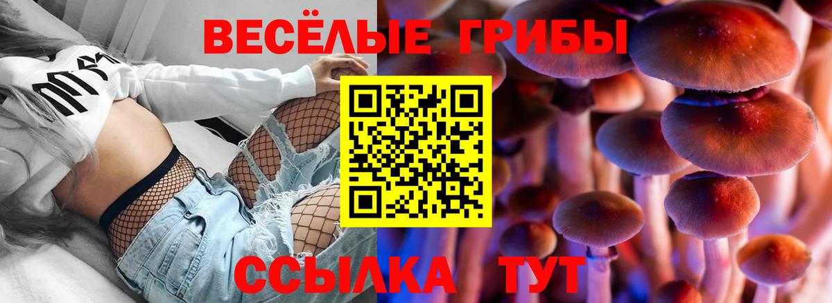купить наркотик  Псилоцибиновые грибы ЛСД  Галлюциногенные грибы GOLDEN TEACHER  Вход с VPN  Нефтекамск 
